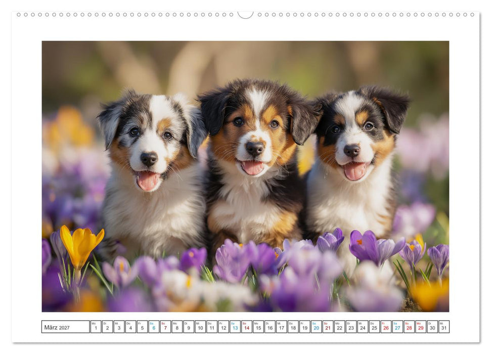 Zauberhafte Fellnasen (CALVENDO Wandkalender 2027)