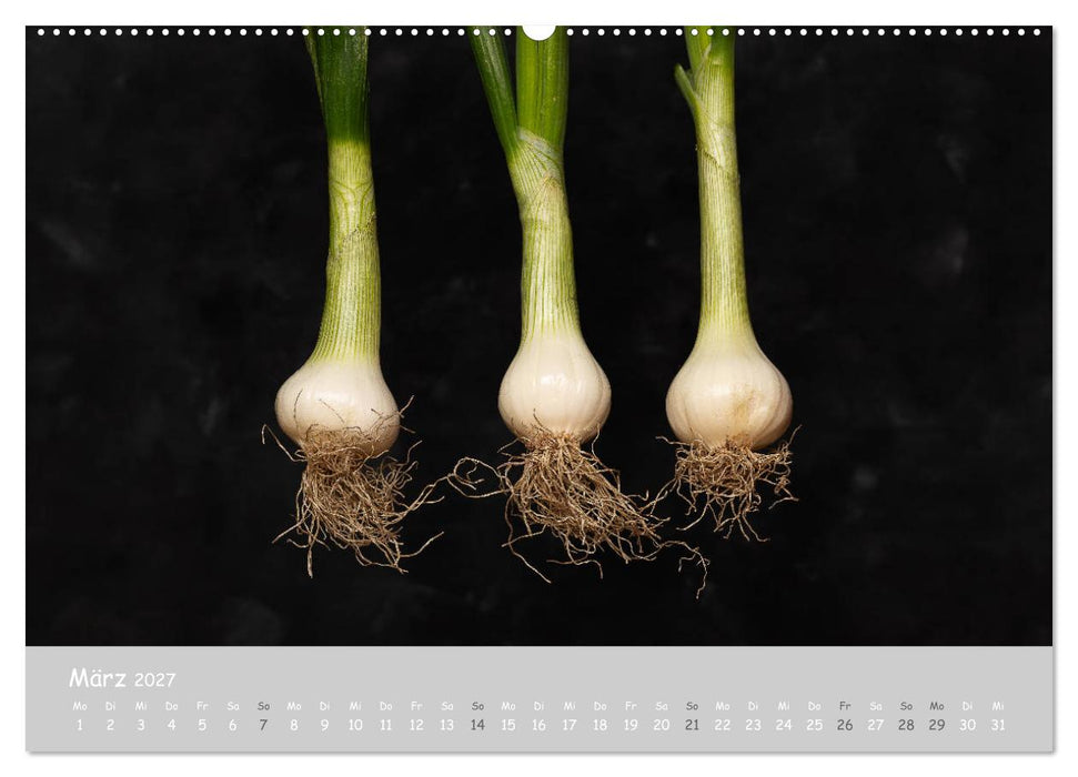 minimalist FOOD art Obst und Gemüse (CALVENDO Wandkalender 2027)