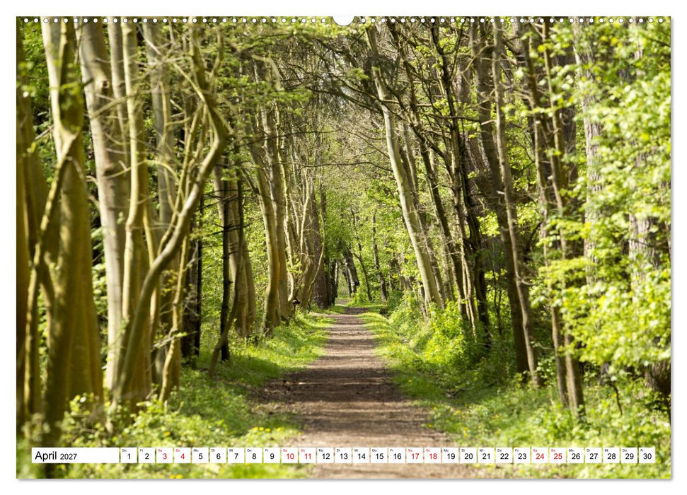 Langeoog - Momente einer Reise (CALVENDO Premium Wandkalender 2027)