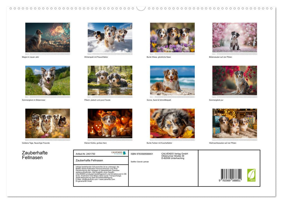 Zauberhafte Fellnasen (CALVENDO Premium Wandkalender 2027)