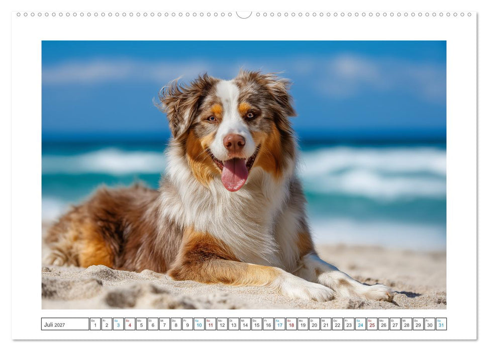 Zauberhafte Fellnasen (CALVENDO Premium Wandkalender 2027)