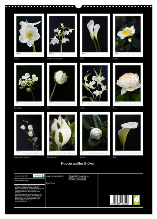 Poesie weißer Blüten (CALVENDO Premium Wandkalender 2027)
