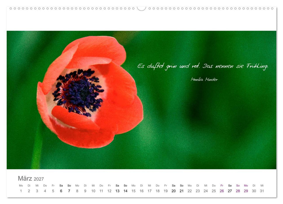 Rendezvous im Park (CALVENDO Premium Wandkalender 2027)