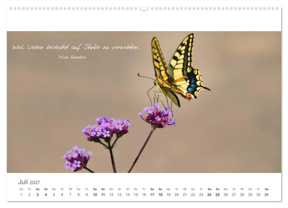 Rendezvous im Park (CALVENDO Premium Wandkalender 2027)