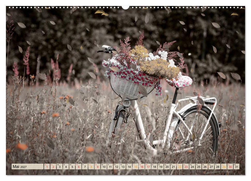 Fahrrad Alltag - Film Noir Style (CALVENDO Wandkalender 2027)