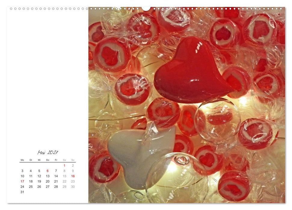 Ein Kalender voll Liebe (CALVENDO Wandkalender 2027)