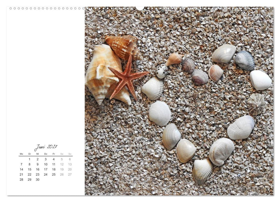 Ein Kalender voll Liebe (CALVENDO Wandkalender 2027)