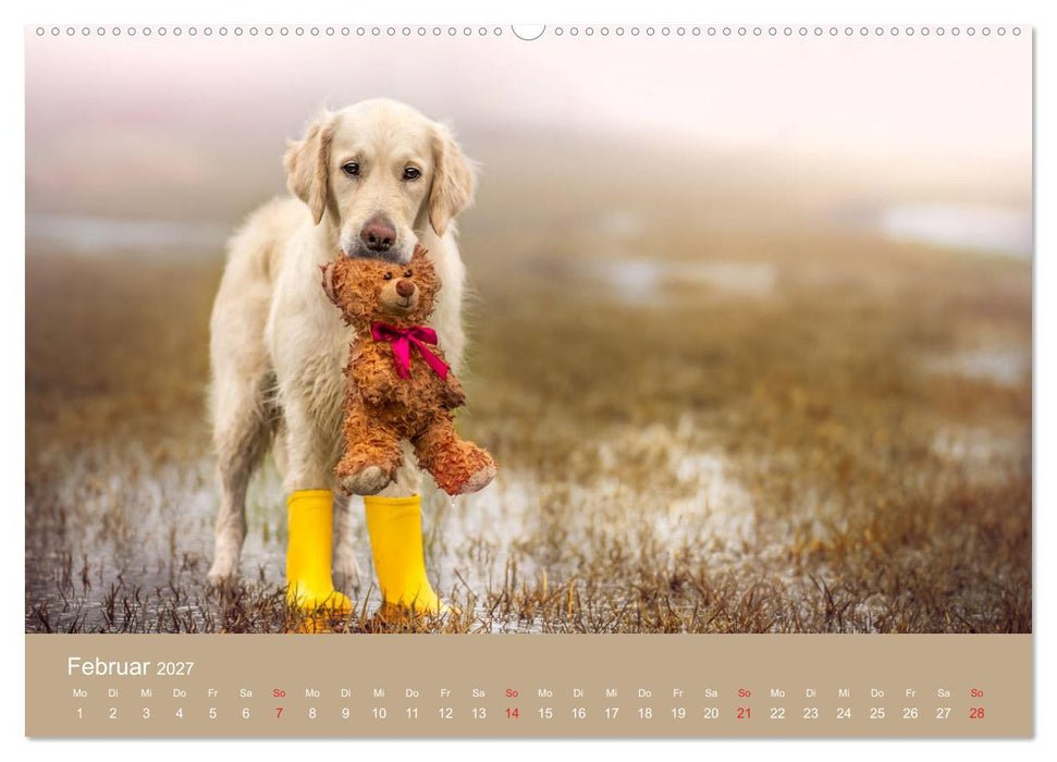 Grace und Cuba - Das verrückte Leben der Golden Girls (CALVENDO Wandkalender 2027)