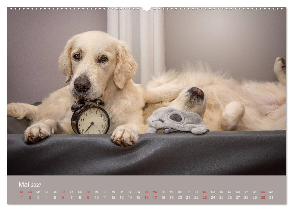 Grace und Cuba - Das verrückte Leben der Golden Girls (CALVENDO Wandkalender 2027)