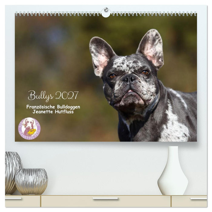 Bullys - Französische Bulldoggen 2027 (CALVENDO Premium Wandkalender 2027)