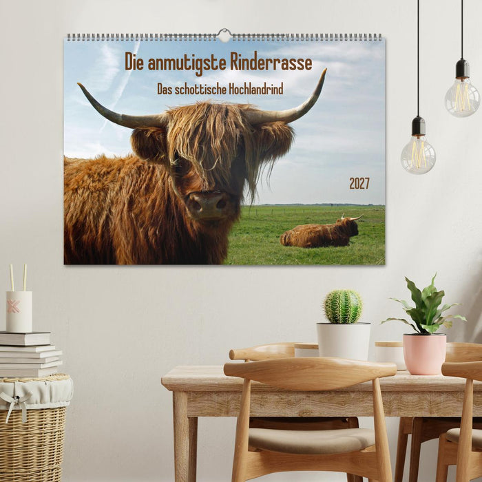 Die anmutigste Rinderrasse - Das schottische Hochlandrind (CALVENDO Wandkalender 2027)