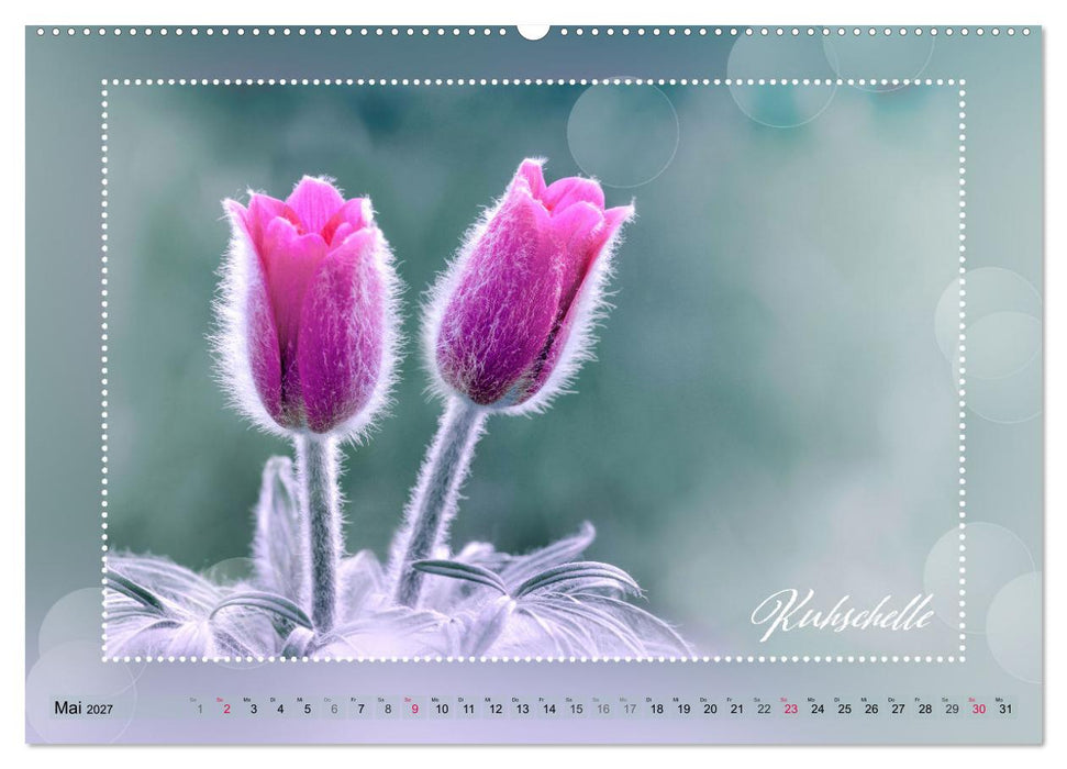 Blütenbouquet (CALVENDO Premium Wandkalender 2027)