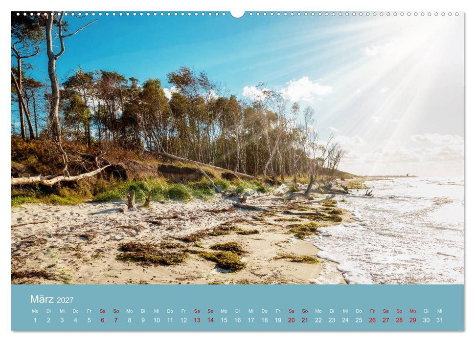 Sommerlichter - Stimmungsvolle Landschaftsbilder (CALVENDO Wandkalender 2027)