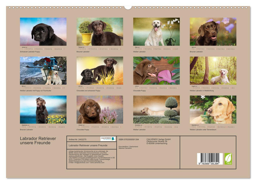 Labrador Retriever unsere Freunde (CALVENDO Premium Wandkalender 2027)