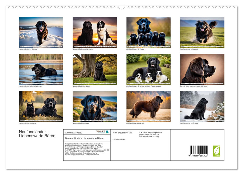 Neufundländer - Liebenswerte Bären (CALVENDO Premium Wandkalender 2027)