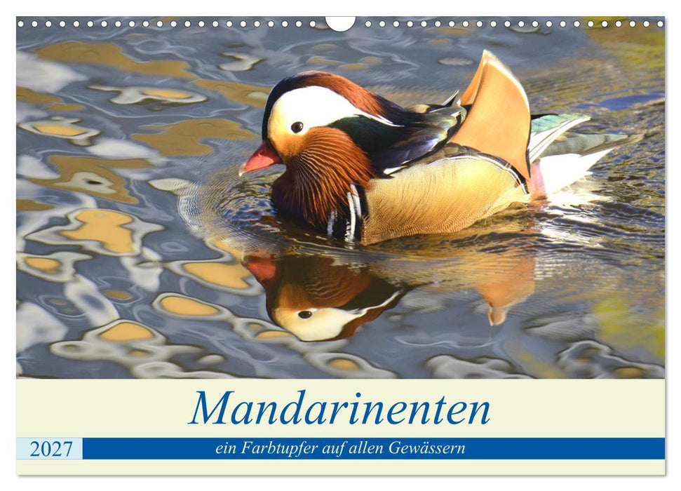 Mandarinenten, ein Farbtupfer auf allen Gewässern. (CALVENDO Wandkalender 2027)