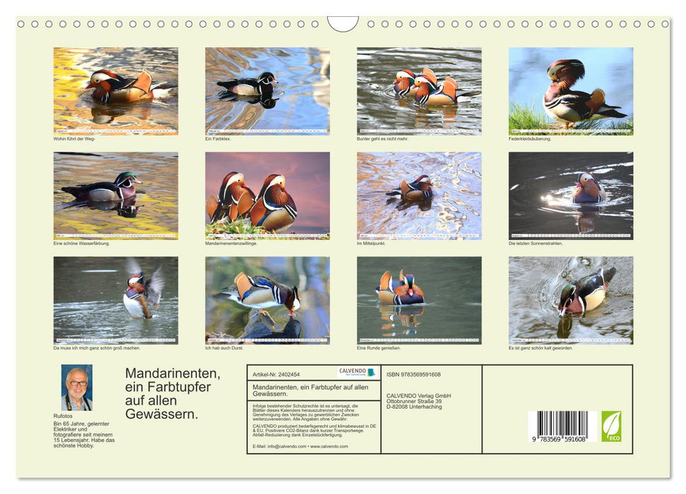 Mandarinenten, ein Farbtupfer auf allen Gewässern. (CALVENDO Wandkalender 2027)
