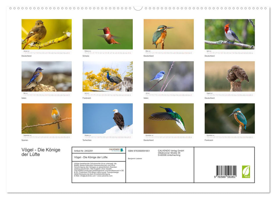 Vögel - Die Könige der Lüfte (CALVENDO Premium Wandkalender 2027)