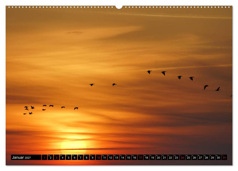 Sylt ist Meer (CALVENDO Premium Wandkalender 2027)