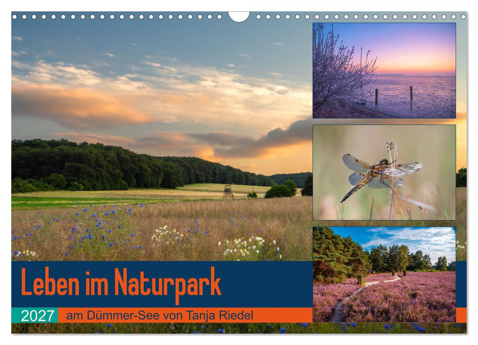 Leben am Naturpark um den Dümmer See (CALVENDO Wandkalender 2027)