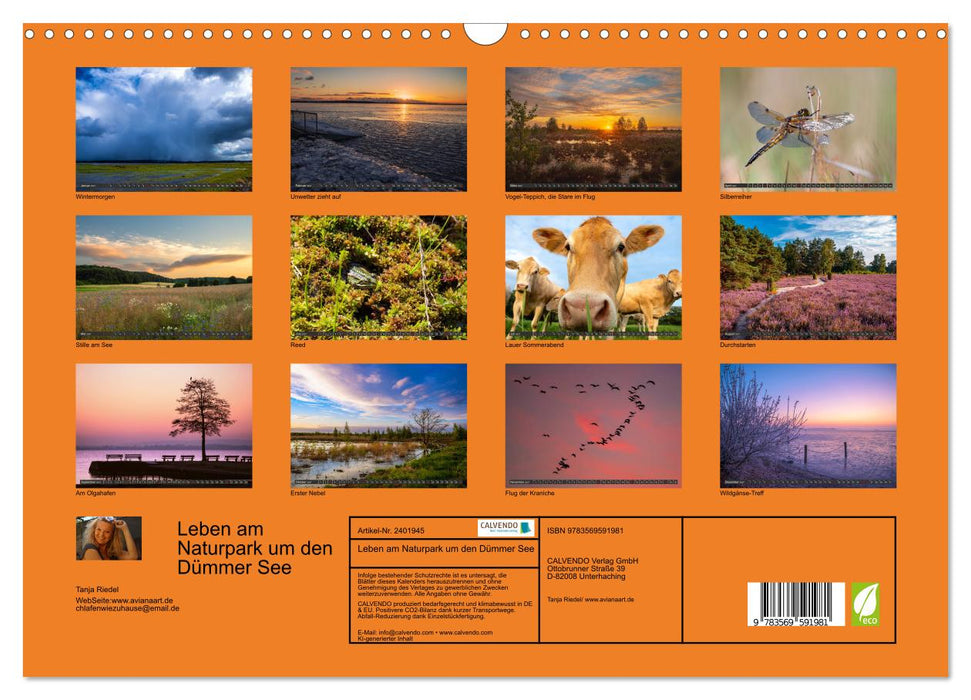Leben am Naturpark um den Dümmer See (CALVENDO Wandkalender 2027)
