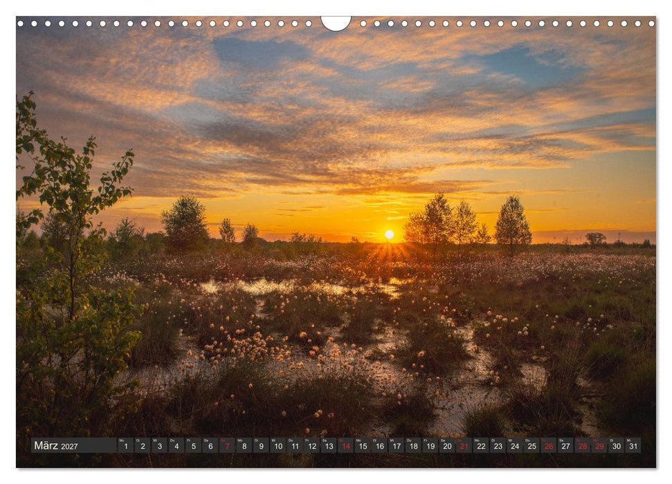Leben am Naturpark um den Dümmer See (CALVENDO Wandkalender 2027)