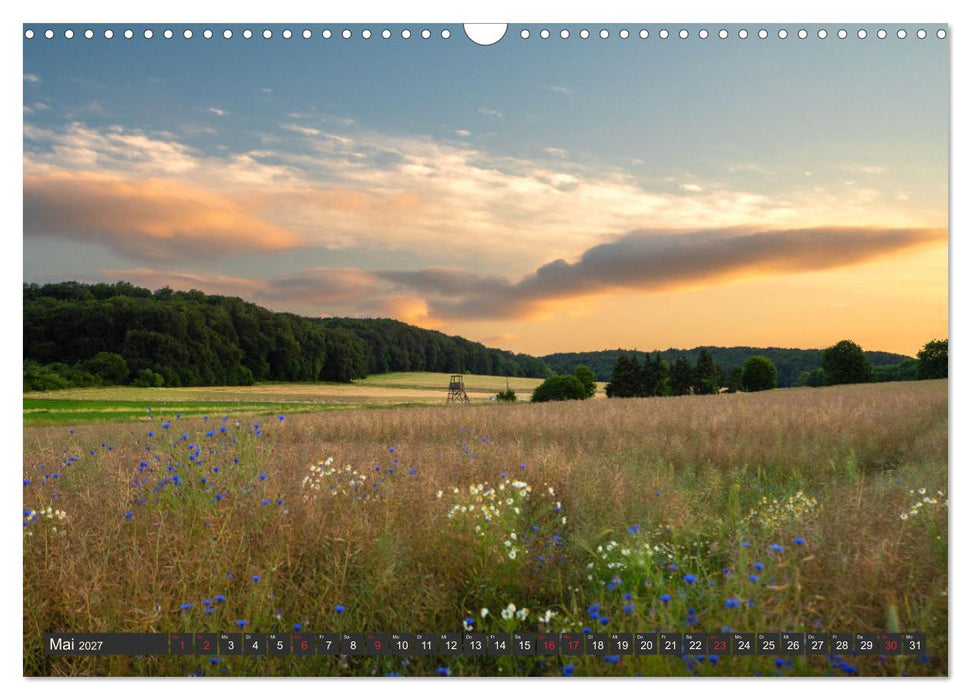 Leben am Naturpark um den Dümmer See (CALVENDO Wandkalender 2027)