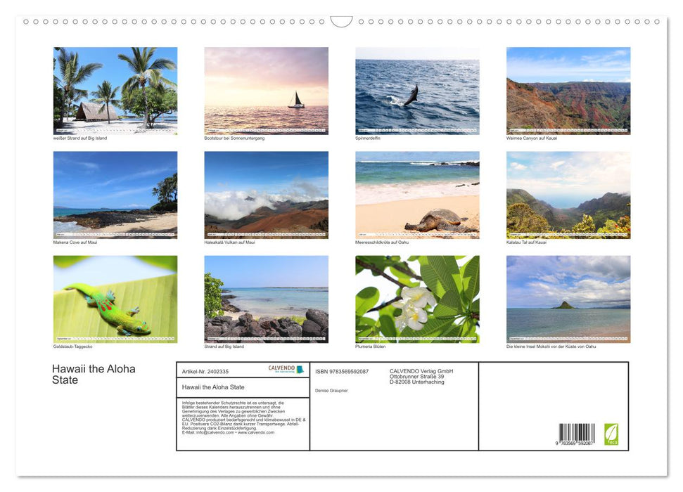 Hawaii the Aloha State (CALVENDO Wandkalender 2027)