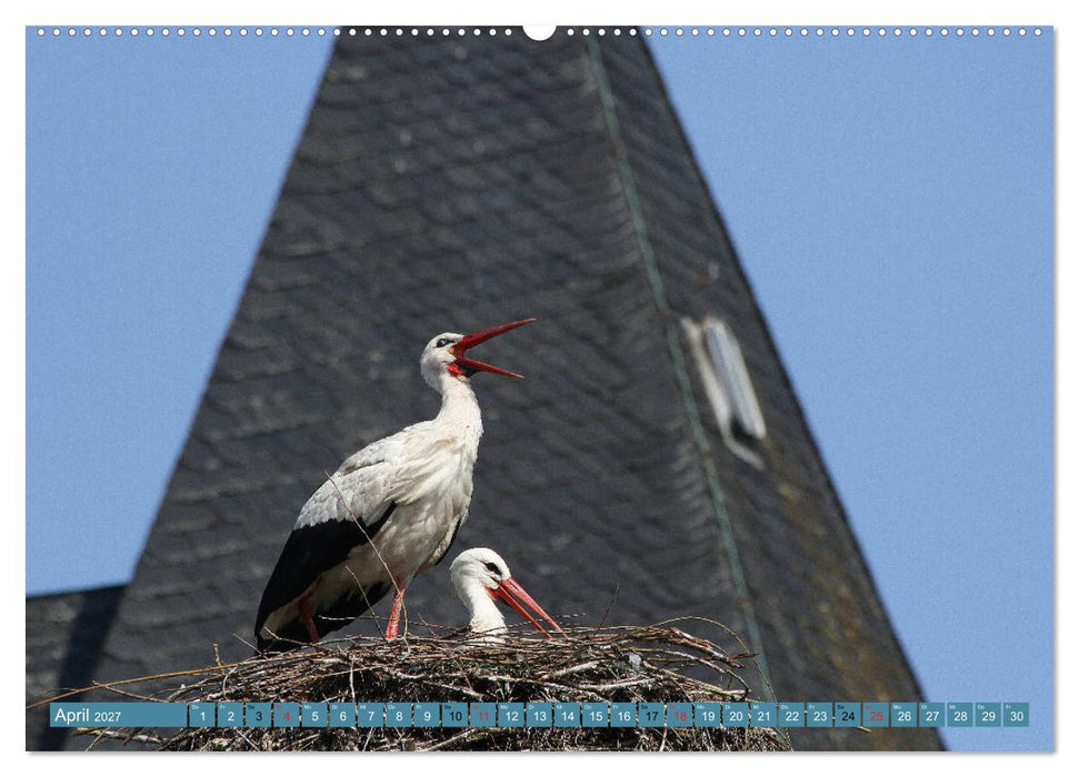 Hannoversches Wendland Verträumtes Landleben (CALVENDO Wandkalender 2027)