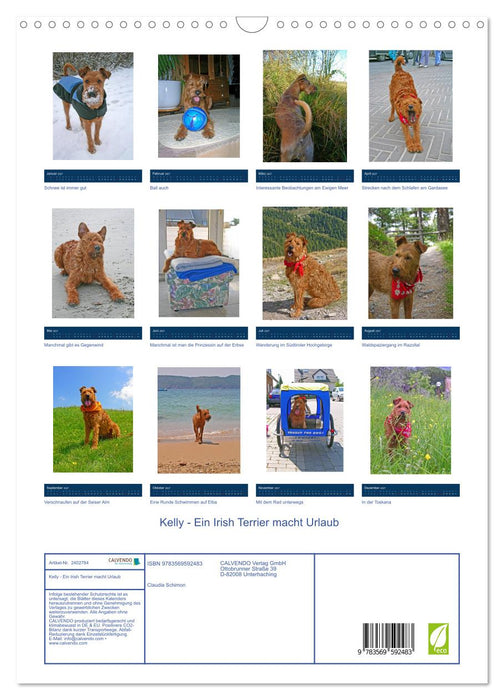 Kelly - Ein Irish Terrier macht Urlaub (CALVENDO Wandkalender 2027)