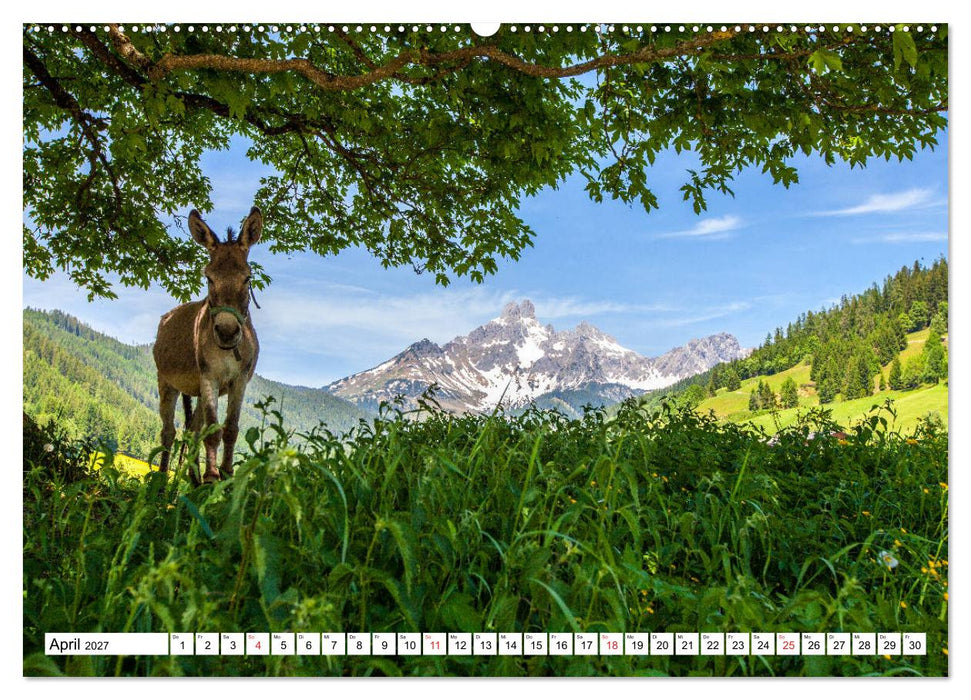 Grüße aus Filzmoos (CALVENDO Wandkalender 2027)