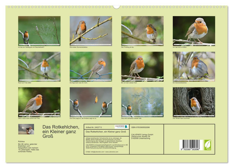 Das Rotkehlchen, ein Kleiner ganz Groß (CALVENDO Premium Wandkalender 2027)