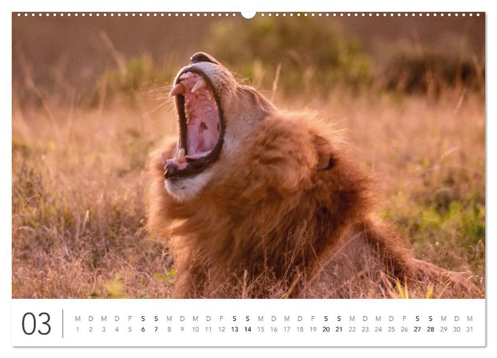 Südafrika Garden Route (CALVENDO Wandkalender 2027)