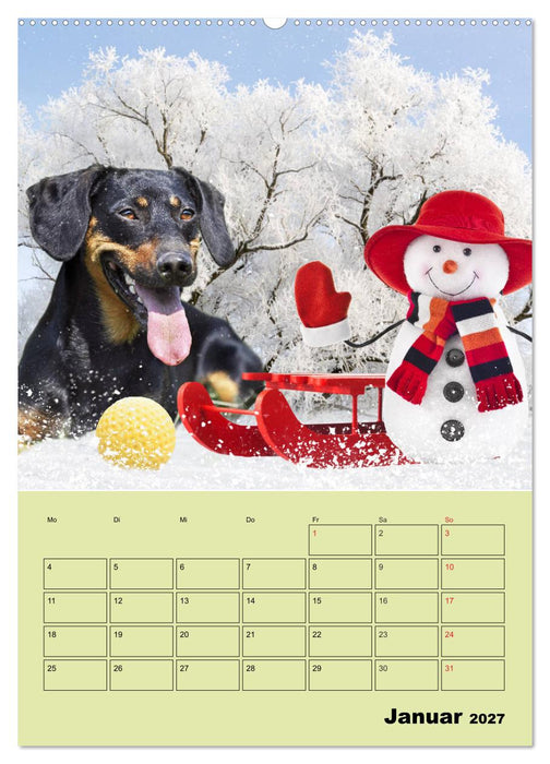 Dackelträume - Ein Familienplaner für das Jahr (CALVENDO Wandkalender 2027)