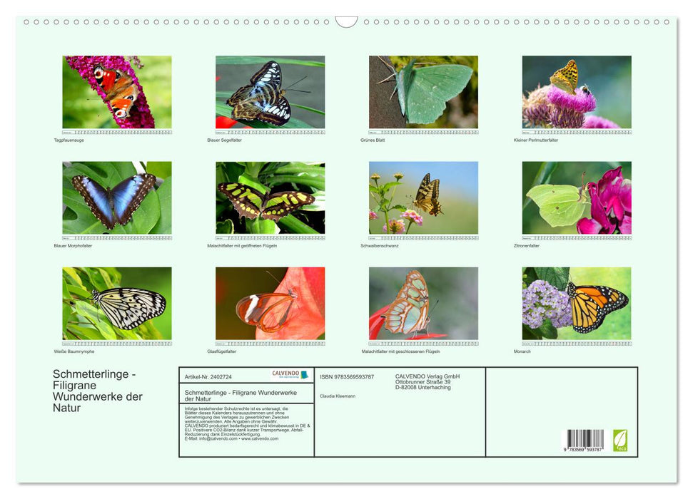 Schmetterlinge - Filigrane Wunderwerke der Natur (CALVENDO Wandkalender 2027)