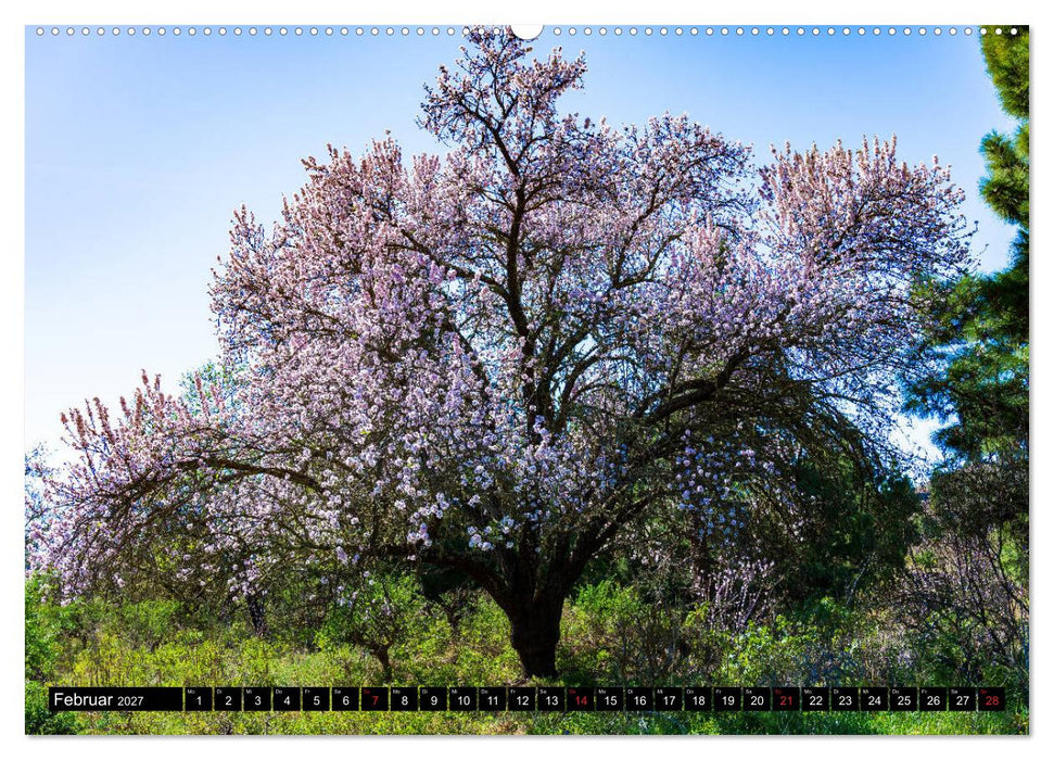 La Palma - Landschaften und Meer (CALVENDO Wandkalender 2027)