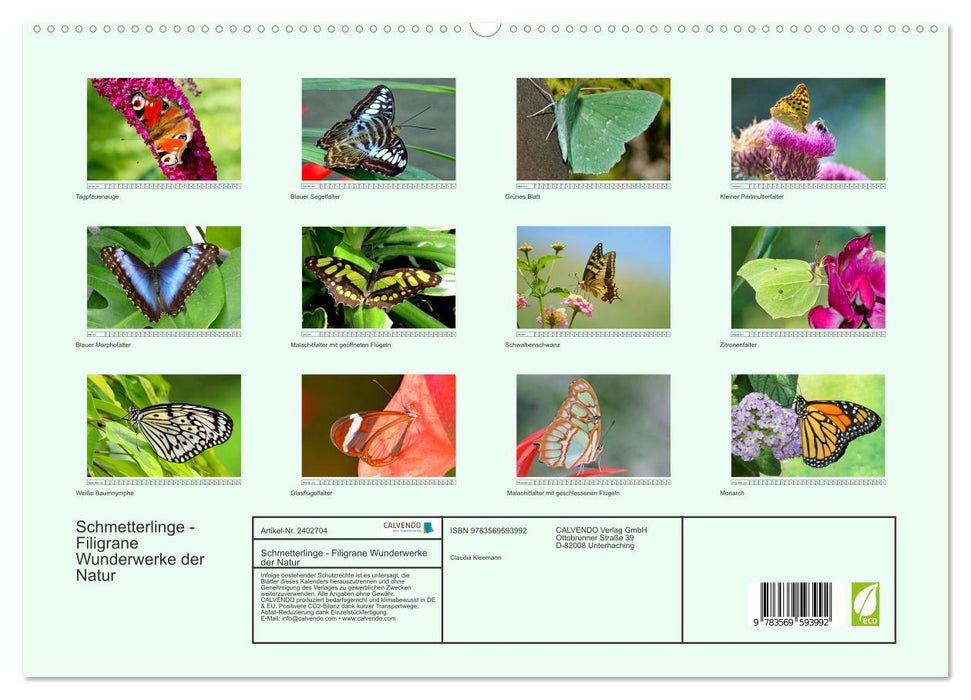 Schmetterlinge - Filigrane Wunderwerke der Natur (CALVENDO Premium Wandkalender 2027)