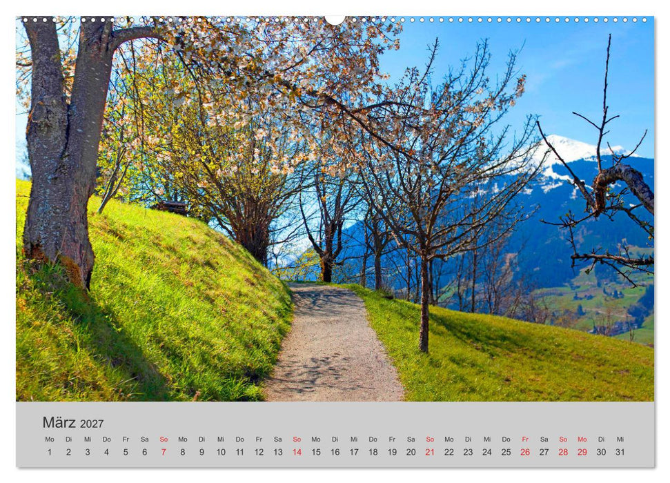 Komm, ich zeige dir den Wald (CALVENDO Premium Wandkalender 2027)