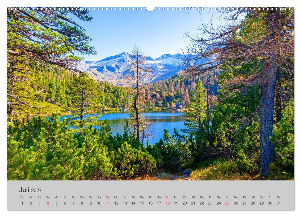 Komm, ich zeige dir den Wald (CALVENDO Premium Wandkalender 2027)