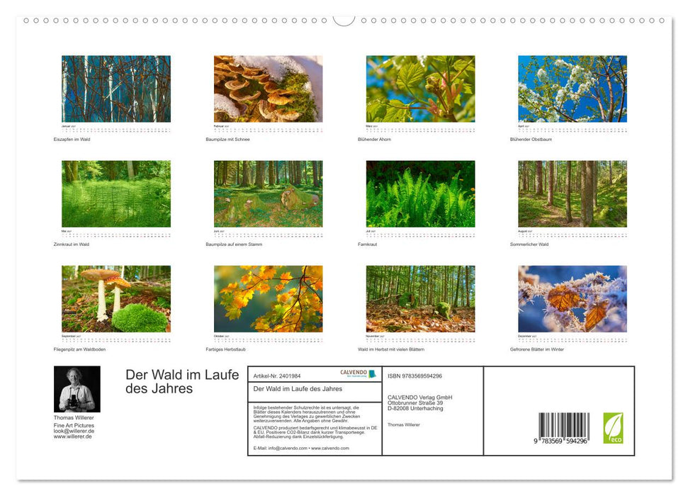 Der Wald im Laufe des Jahres (CALVENDO Premium Wandkalender 2027)