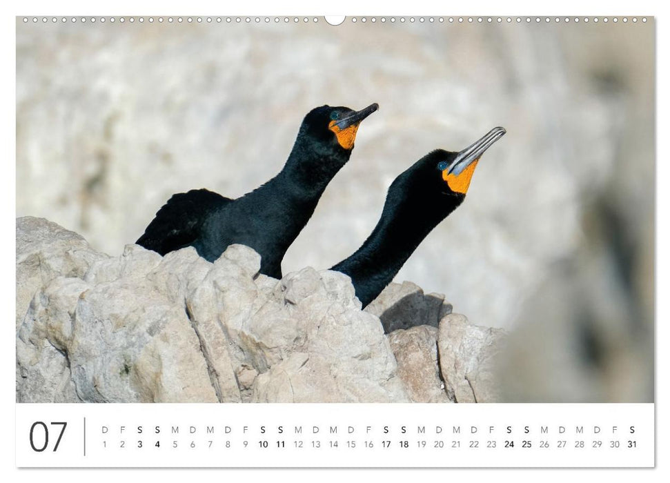 Südafrika Garden Route (CALVENDO Premium Wandkalender 2027)