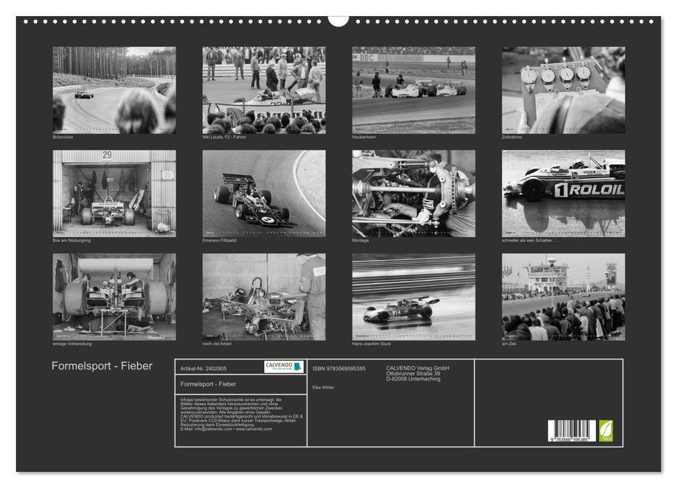 Formelsport - Fieber (CALVENDO Wandkalender 2027)