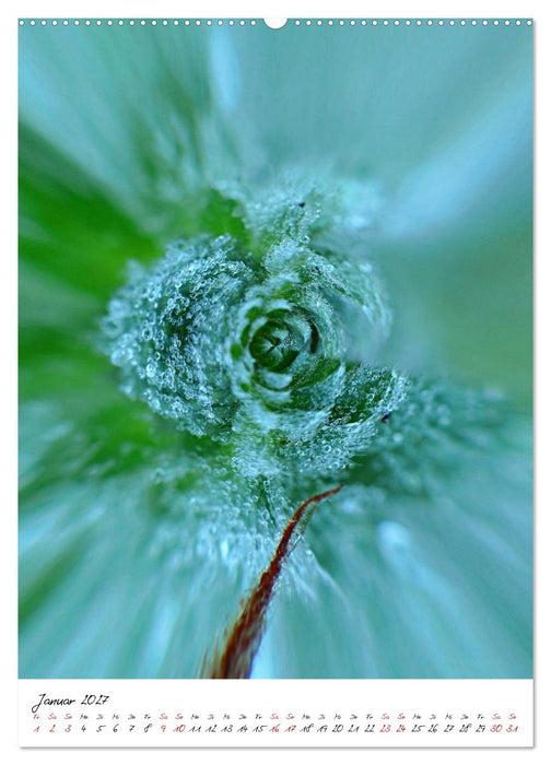 Durchschnittlich - Verzauberte Flora (CALVENDO Wandkalender 2027)