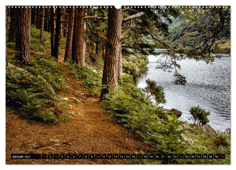 Irland-Liebe (CALVENDO Wandkalender 2027)