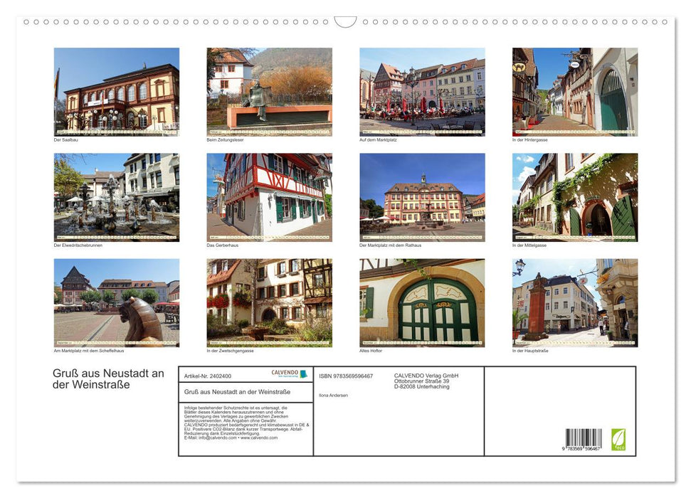 Gruß aus Neustadt an der Weinstraße (CALVENDO Wandkalender 2027)