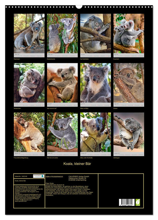 Koala, kleiner Bär (CALVENDO Wandkalender 2027)