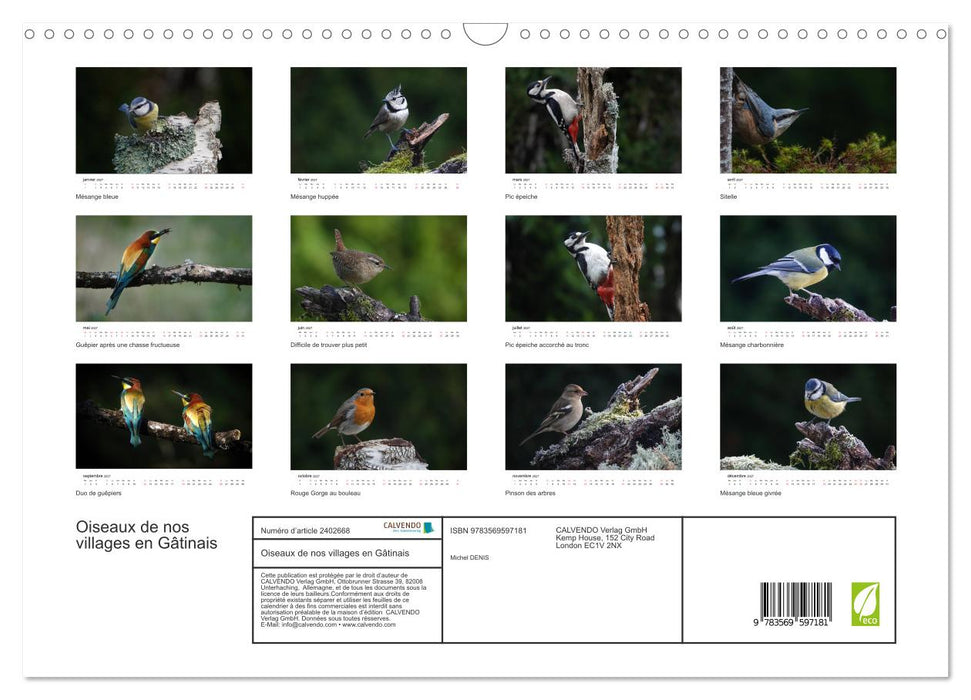 Oiseaux de nos villages en Gâtinais (CALVENDO Calendrier mensuel 2027)