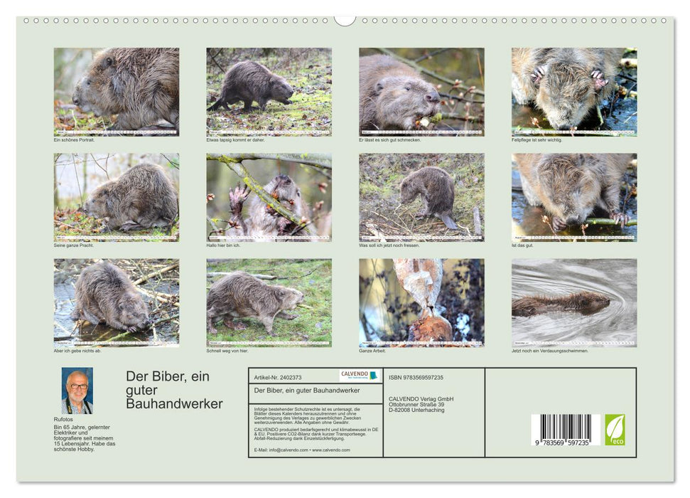Der Biber, ein guter Bauhandwerker (CALVENDO Premium Wandkalender 2027)
