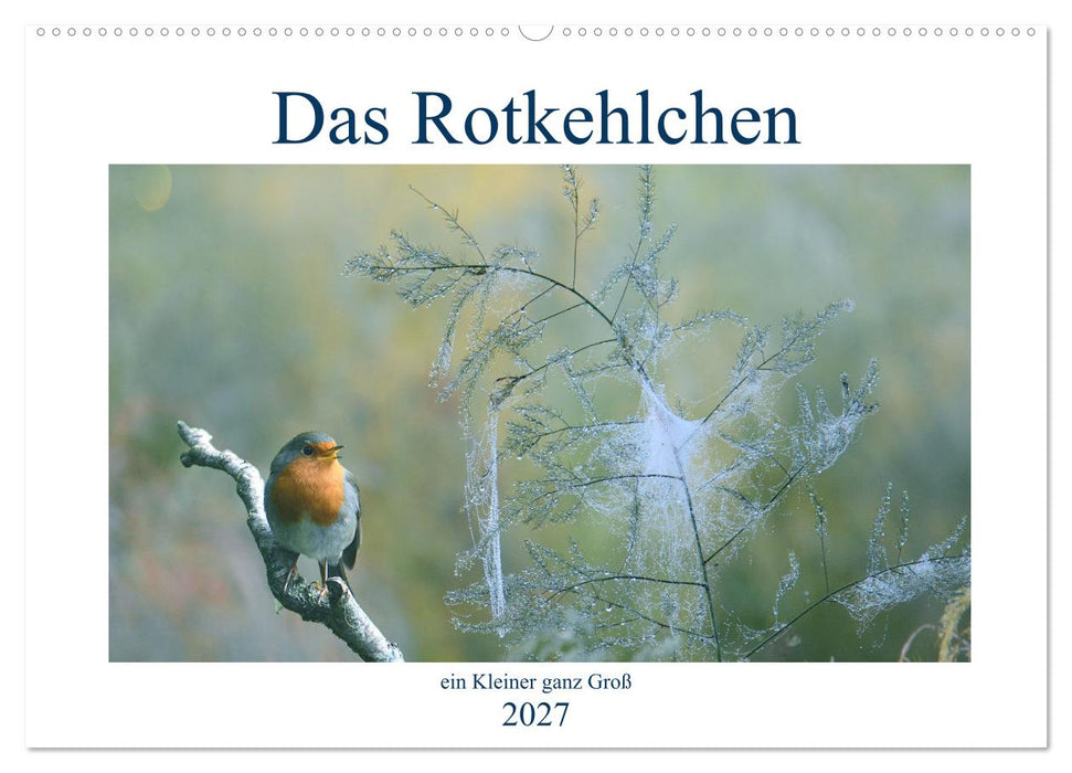 Das Rotkehlchen, ein Kleiner ganz Groß (CALVENDO Wandkalender 2027)