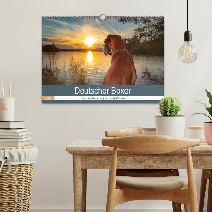Deutscher Boxer (CALVENDO Wandkalender 2027)